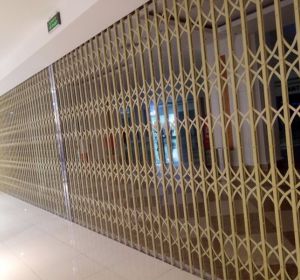 Cửa xếp sắt 01